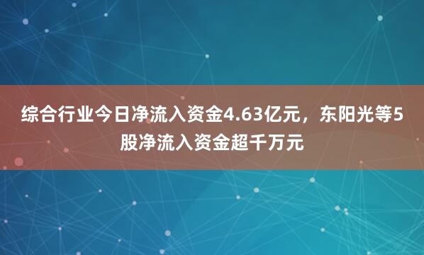 综合行业今日净流入资金4.63亿元，东阳光等5股净流入资金超千万元