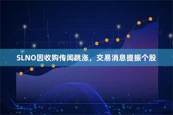 SLNO因收购传闻跳涨，交易消息提振个股