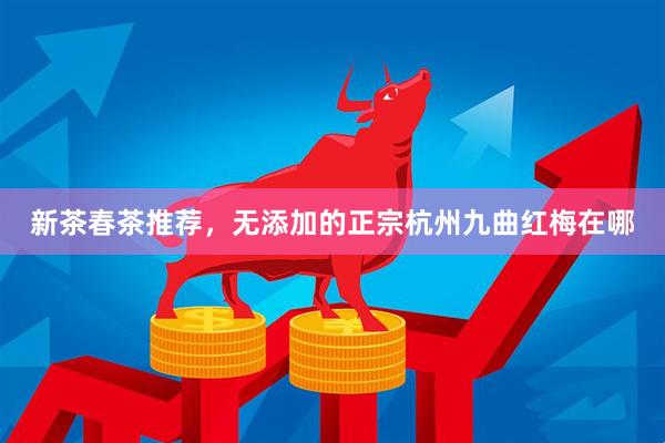 新茶春茶推荐，无添加的正宗杭州九曲红梅在哪
