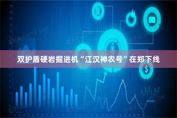 双护盾硬岩掘进机“江汉神农号”在郑下线