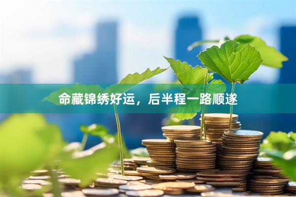 命藏锦绣好运，后半程一路顺遂